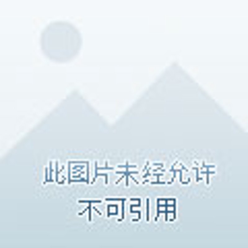 郑州房产营销策略解析：工具推荐与实战攻略