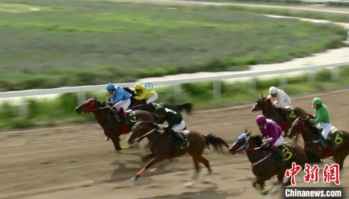 2024年中国速度赛马公开赛（呼和浩特站）正式开